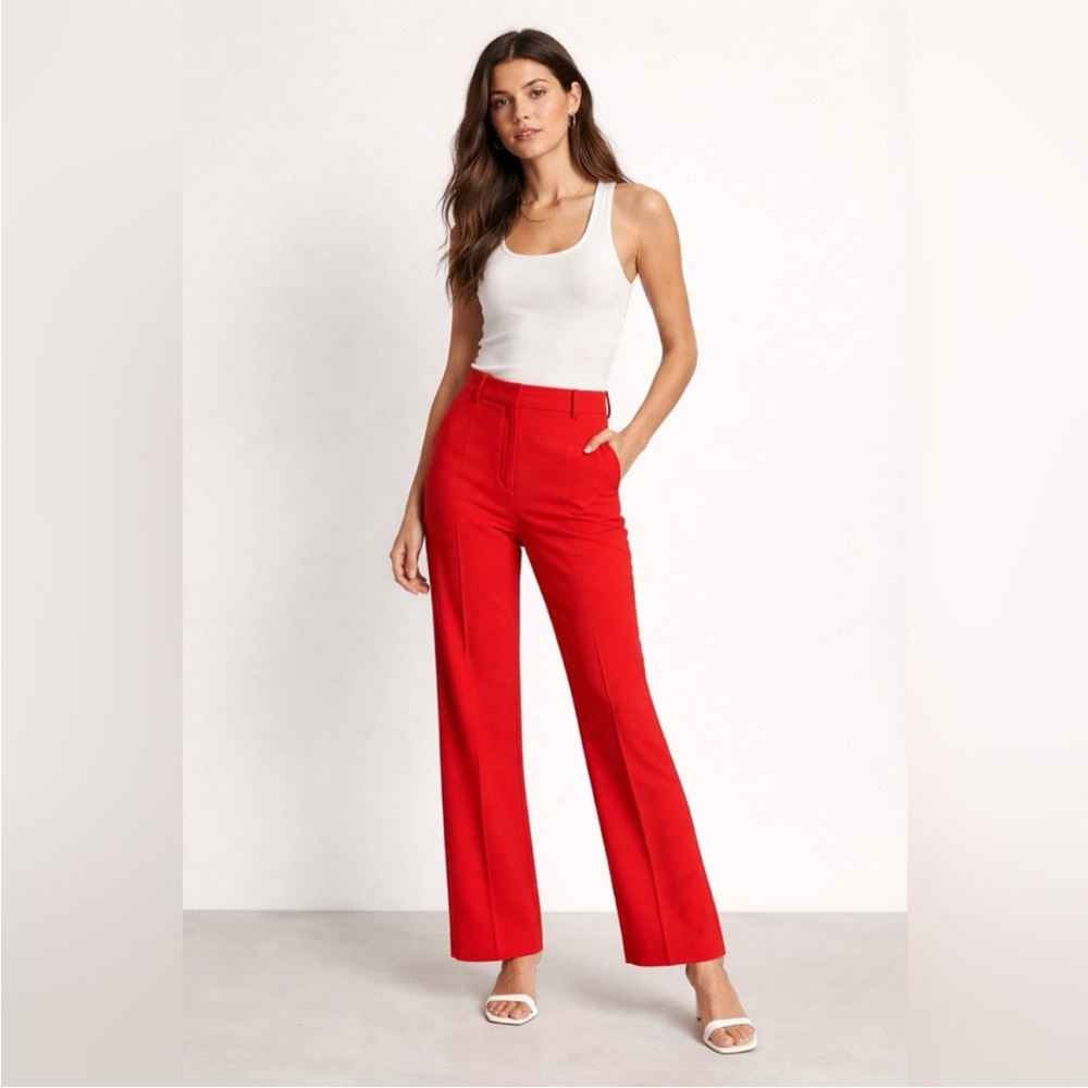 Aritzia Little Moon Clover Pants in Goji Berry